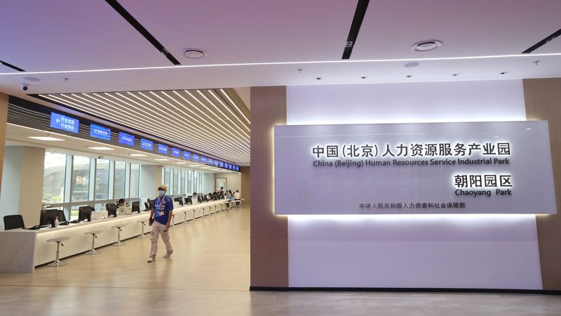 背景调查：加盟前需了解的费用明细解析